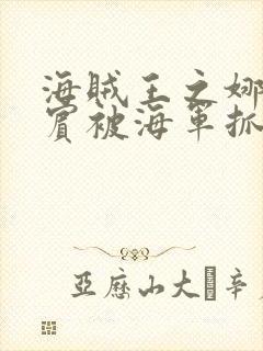 海贼王之娜美罗宾被海军抓住是第几