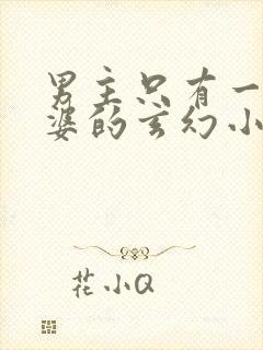 男主只有一个老婆的玄幻小说