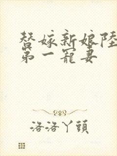 替嫁新娘陆少的第一宠妻