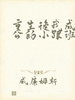 重生后我成了老公的小跟班