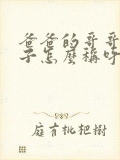 爸爸的哥哥的儿子怎么称呼封面