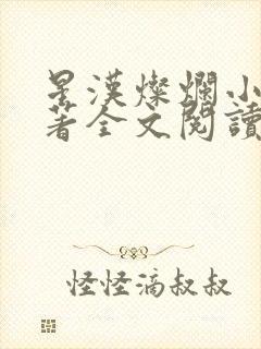 星汉灿烂小说原著全文阅读