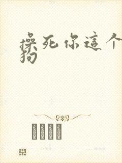 操死你这个骚母狗