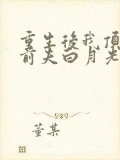 重生后我顶替了前夫白月光大概剧情