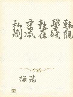 私密教学韩漫无删减在线观看