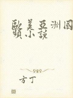 欧美亚洲国产视频小说