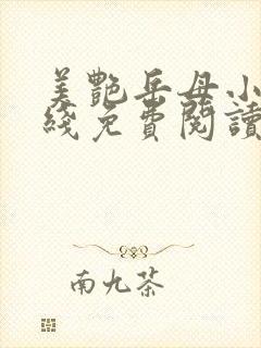 美艳岳母小说在线免费阅读