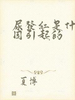 尿发红是什么原因引起的