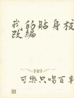 我的贴身校花h改编封面