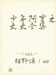 少年阿宾之房东太太全集