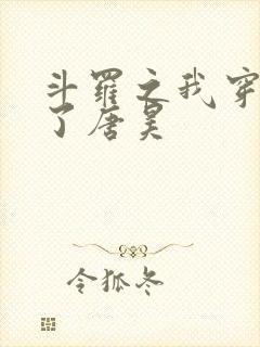 斗罗之我穿越成了唐昊