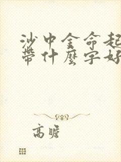 沙中金命起名字带什么字好