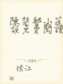 陈楚那小莲的小说免费阅读