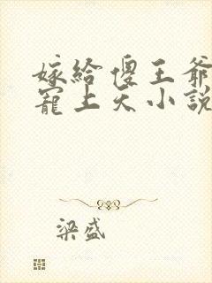 嫁给傻王爷后被宠上天小说txt