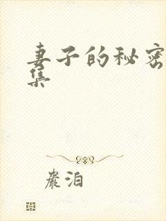 妻子的秘密40集