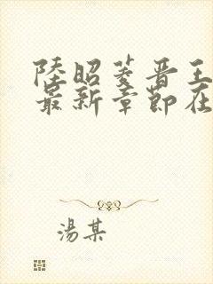 陆昭菱晋王小说最新章节在线阅读