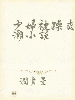 少妇被躁爽到高潮小说