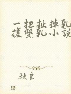 一把扯掉乳罩揉搓双乳小说封面