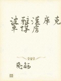 波雅汉库克被海军俘虏