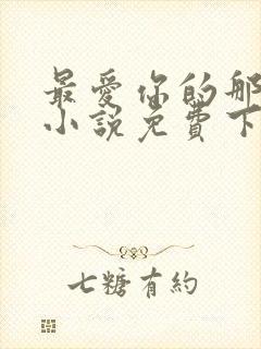 最爱你的那十年小说免费下载