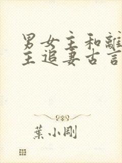 男女主和离后男主追妻古言