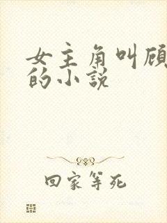 女主角叫顾清欢的小说