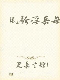 风骚淫岳母封面