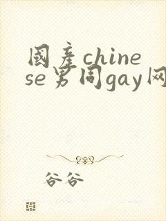 国产chinese男同gay网站