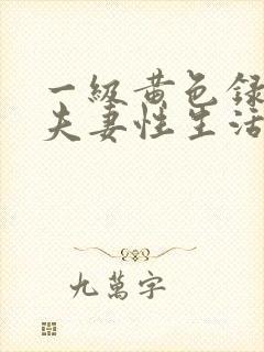 一级黄色录像片夫妻性生活片封面