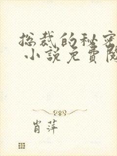 总裁的秘密情人 小说免费阅读封面