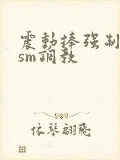 震动捧强制高潮sm调教