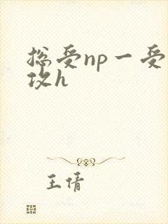 总受np一受多攻h