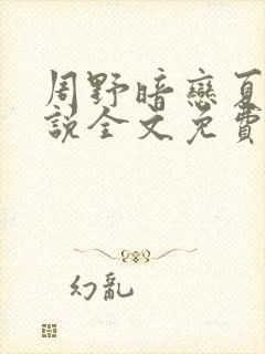 周野暗恋夏瑶小说全文免费阅读