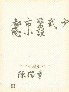 都市医武少狂叶飞小说封面