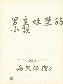 男主姓裴的古言小说封面