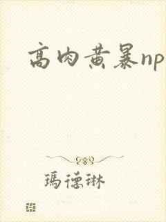 高肉黄暴np文封面