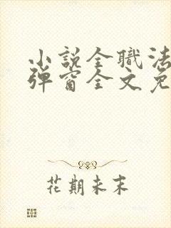 小说全职法师无弹窗全文免费阅读