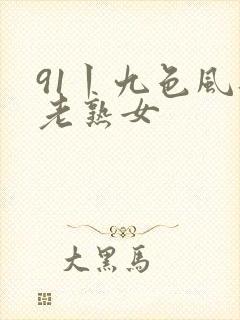 91丨九色风韵老熟女封面