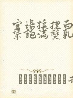 官场揉捏白嫩高耸饱满双乳