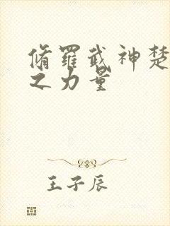 修罗武神楚枫神之力量