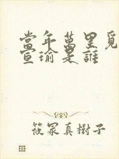 当年万里觅封侯宣瑜是谁