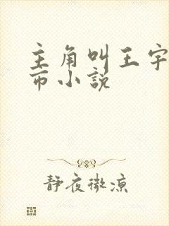 主角叫王宇的都市小说