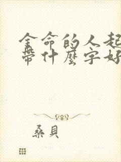 金命的人起名字带什么字好