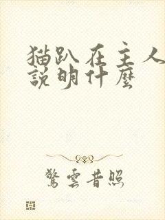 猫趴在主人胸口说明什么