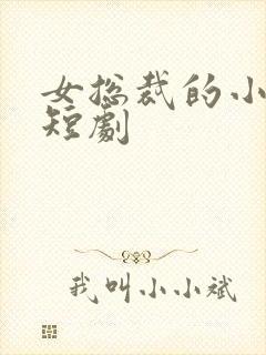 女总裁的小娇夫短剧