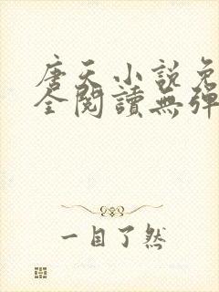 唐天小说免费大全阅读无弹窗