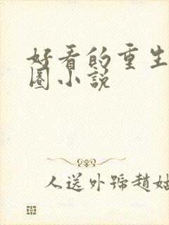 好看的重生娱乐圈小说封面