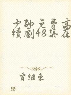 少帅免费高清连续剧48集在线观看