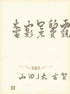 火山口的两个人电影免费观看封面