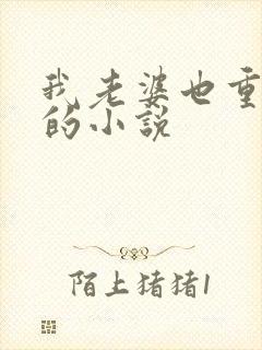 我老婆也重生了的小说封面